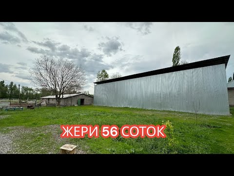 Козулуу койлор сатылат. Тез арада