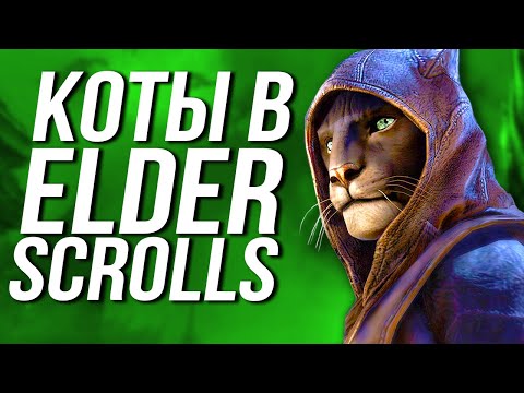 Видео: Расы The Elder Scrolls: Каджиты