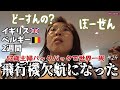 【52歳主婦の世界一周🌏24】初めての体験！飛行機が欠航ってどうするの私？？？ドイツ行きに間に合わない！ベルギーまでの長い道のり