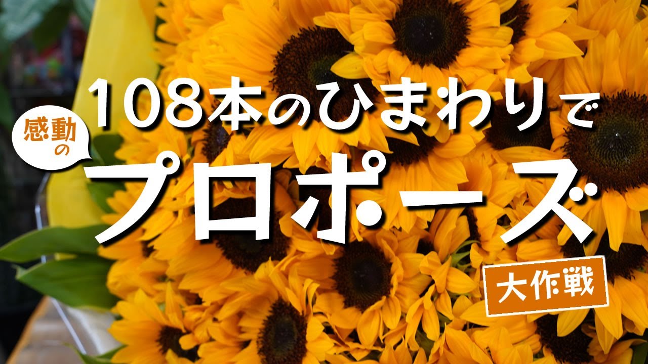 プロポーズブーケ 108本のひまわりでプロポーズ Youtube