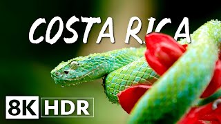 COSTA RICA 8K HDR 60fps (ULTRA HD) Dolby Vision
