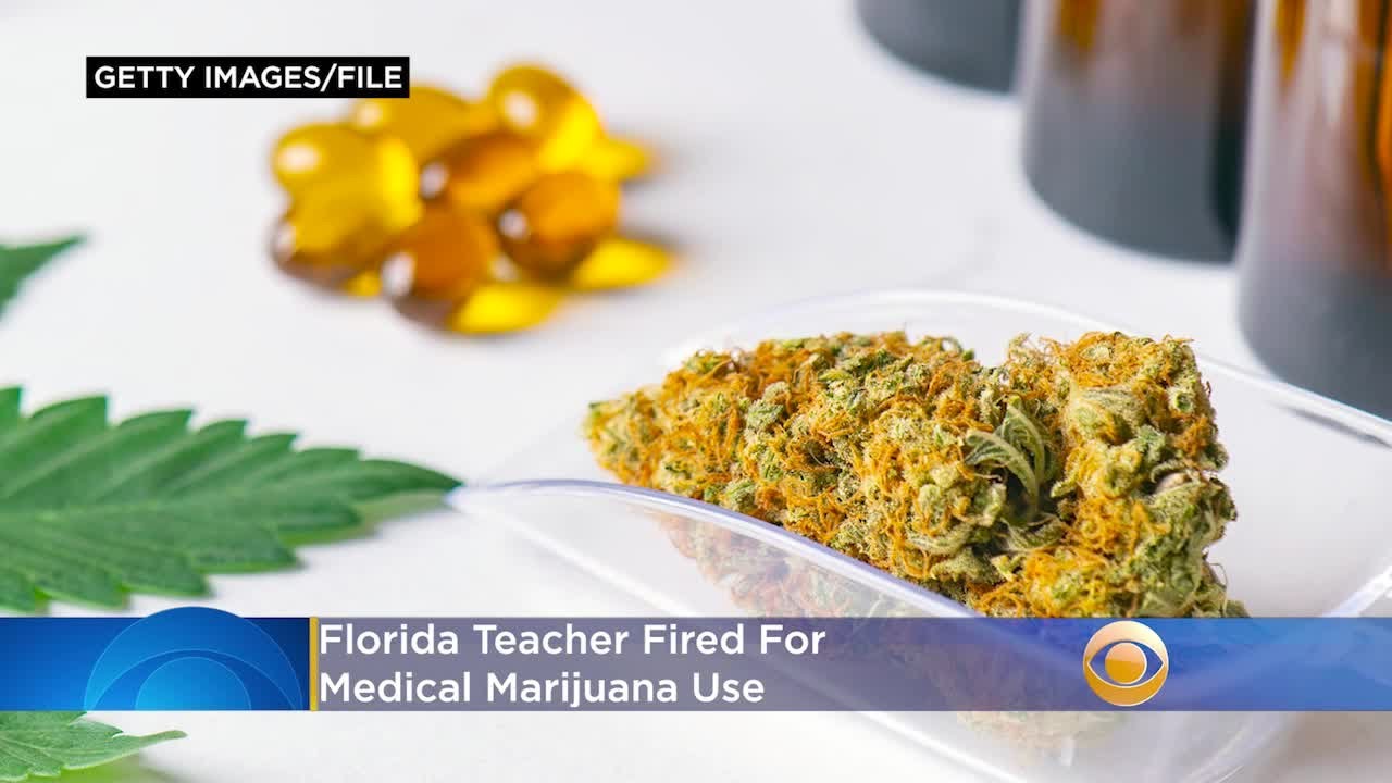 Florida Teacher Fired For Medical Marijuana Use