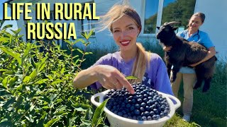 Real Life in a Russian Village: Harvest Season, Farm Projects & Vet Problems 😭