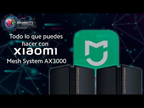 Descubre a fondo