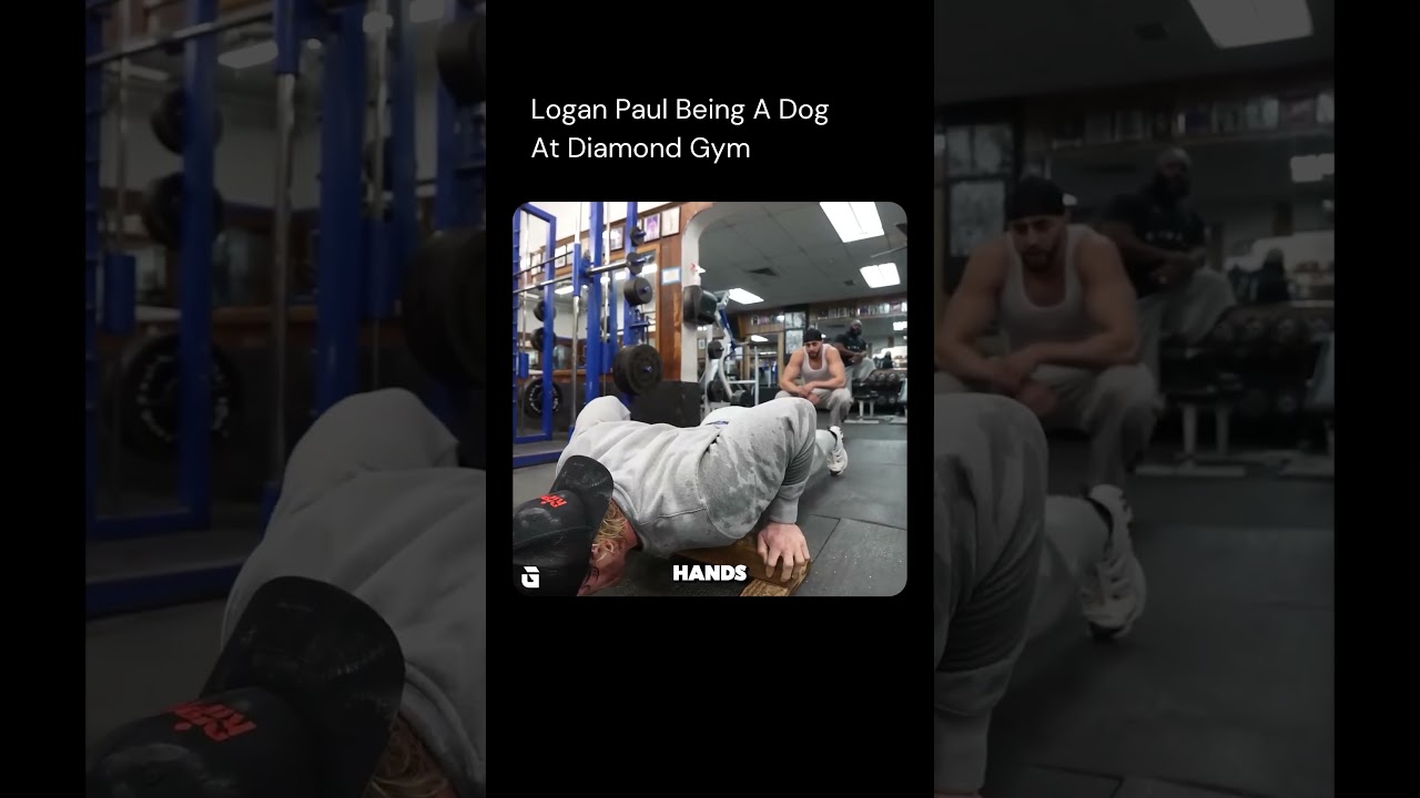 Logan Paul Being A Dog At Diamond Gym