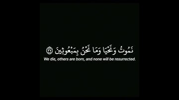 سورة المؤمنون ياسر الدوسري شاشه سوداء #كرومات
