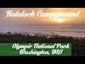 Kalaloch Campground, Olympic National Park, Washington State Coast