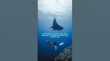 Become a Master Scuba Diver