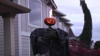 Halloween 2010