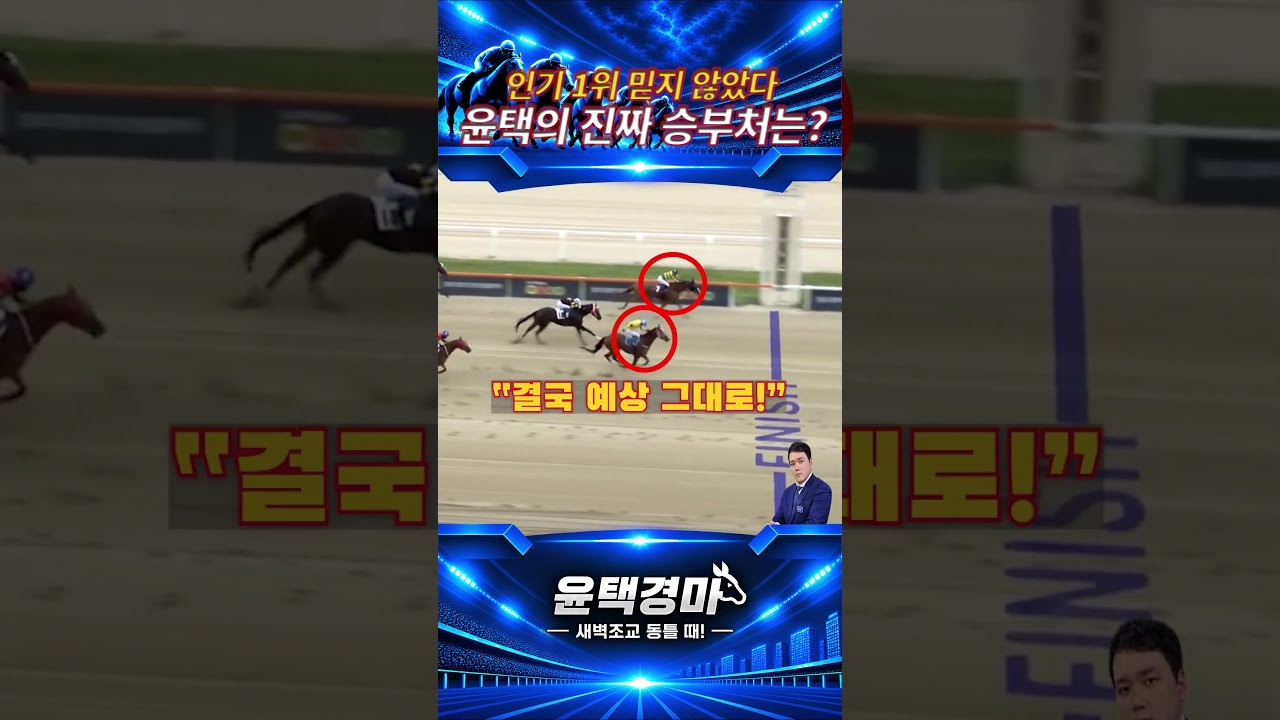 인기마 마이던이 안되는 이유는?? #마사회 #아나짜리 #윤택경마
