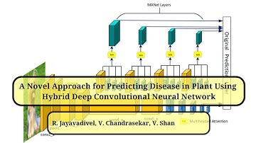 A Novel Approach for Predicting Disease in Plant Using Hybrid Deep Convolutional Neural Network