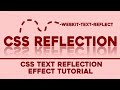 CSS Reflection Text Effect ✨ #css#html #frontend #animation #csseffects #codeio