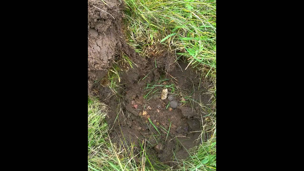 Metal detecting essex help needed YouTube