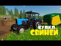 Купил Первых СВИНЕЙ. FS19.