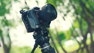 Small Size, Big Performance! COMAN M1 MINI Professional Monopod Full Review