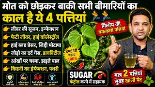 मात्र 2 पत्तियां सुबह खाली शरीर फौलाद सा मजबूत [Remedial Leaves]