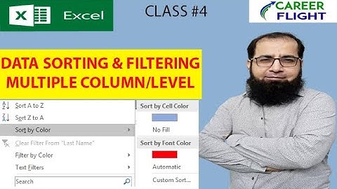 Data Sorting Filtering Multiple Column level in Excel|Values Cell/ Font Color| Excel in Urdu/Hindi