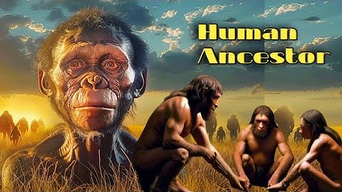 Early human documentary | the great adventure of the origin of man | ancient human