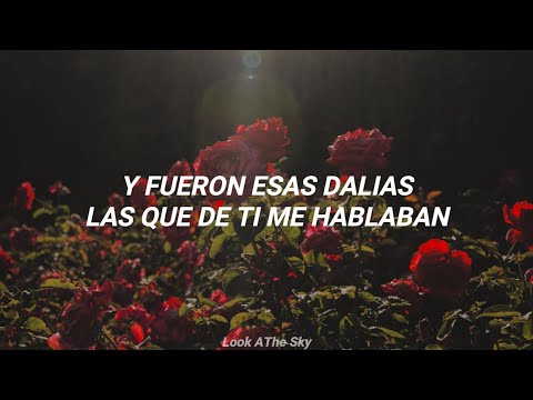 Un Para Siempre - Dani Labbé (Letra)