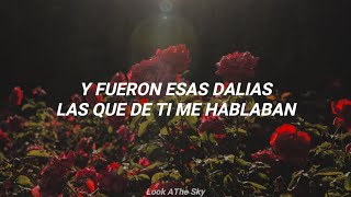 Un Para Siempre - Dani Labbé (Letra)