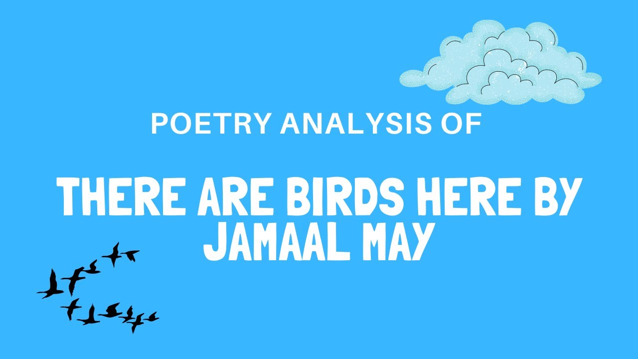 Poetry Analysis of There are Birds Here by Jamaal May
