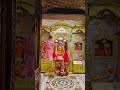 #viralr दिनांक 26/04/26 के संध्या आरती दर्शन...जय माँ बगलामुखी 🚩🙏 #viralvideos
