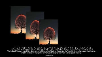 ۞ لَّقَدْ رَضِيَ اللَّهُ عَنِ الْمُؤْمِنِينَ ۞سورة الفتح،بصوت القارئ #هزاع_البلوشي حالات الواتساب