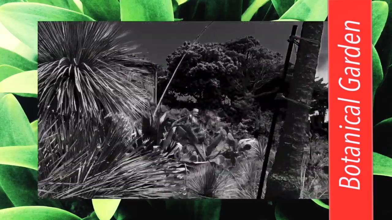 Gimgigam - Botanical Garden