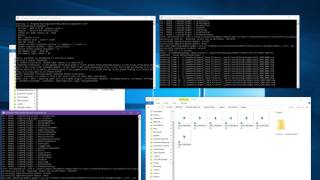 Batch rendering test