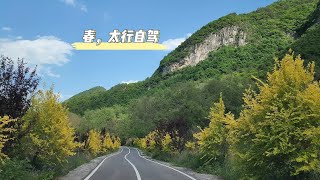 春季的太行山自駕之旅，山間小道，雲朵，鮮艷的植被，山間鳥兒的叫聲