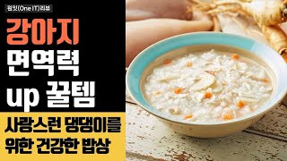 강아지 영양 전문가가 추천하는 사료! 하림펫푸드로 똘똘한 강아지 키우기