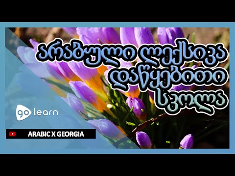 არაბული ლექსიკა Დაწყებითი სკოლა | Golearn