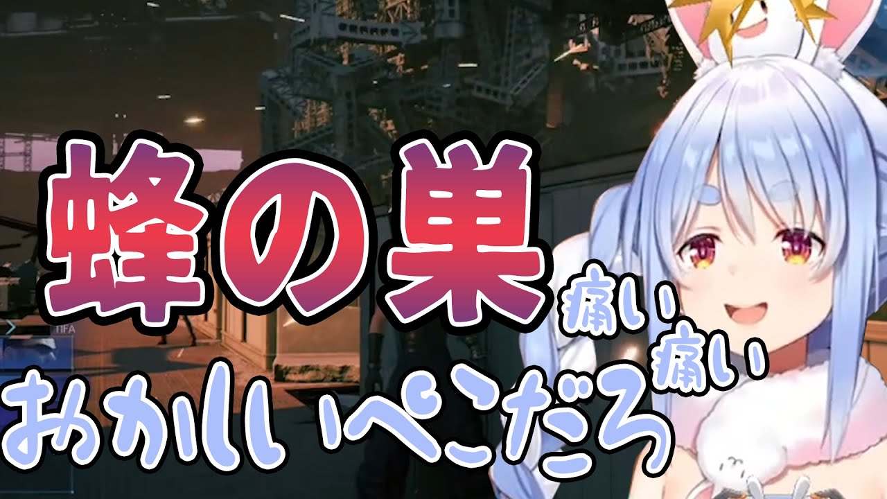 蜂の巣にされる兎田ぺこら【ホロライブ 】【切り抜き】