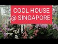 THE SEMBCORP COOL HOUSE | NATIONAL ORCHID GARDENS SINGAPORE | | NEWLY OPENED ON APRIL 3 2021