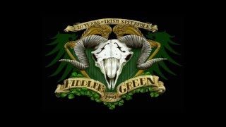 Miniatura del video "Fiddler´s Green - Lullaby"