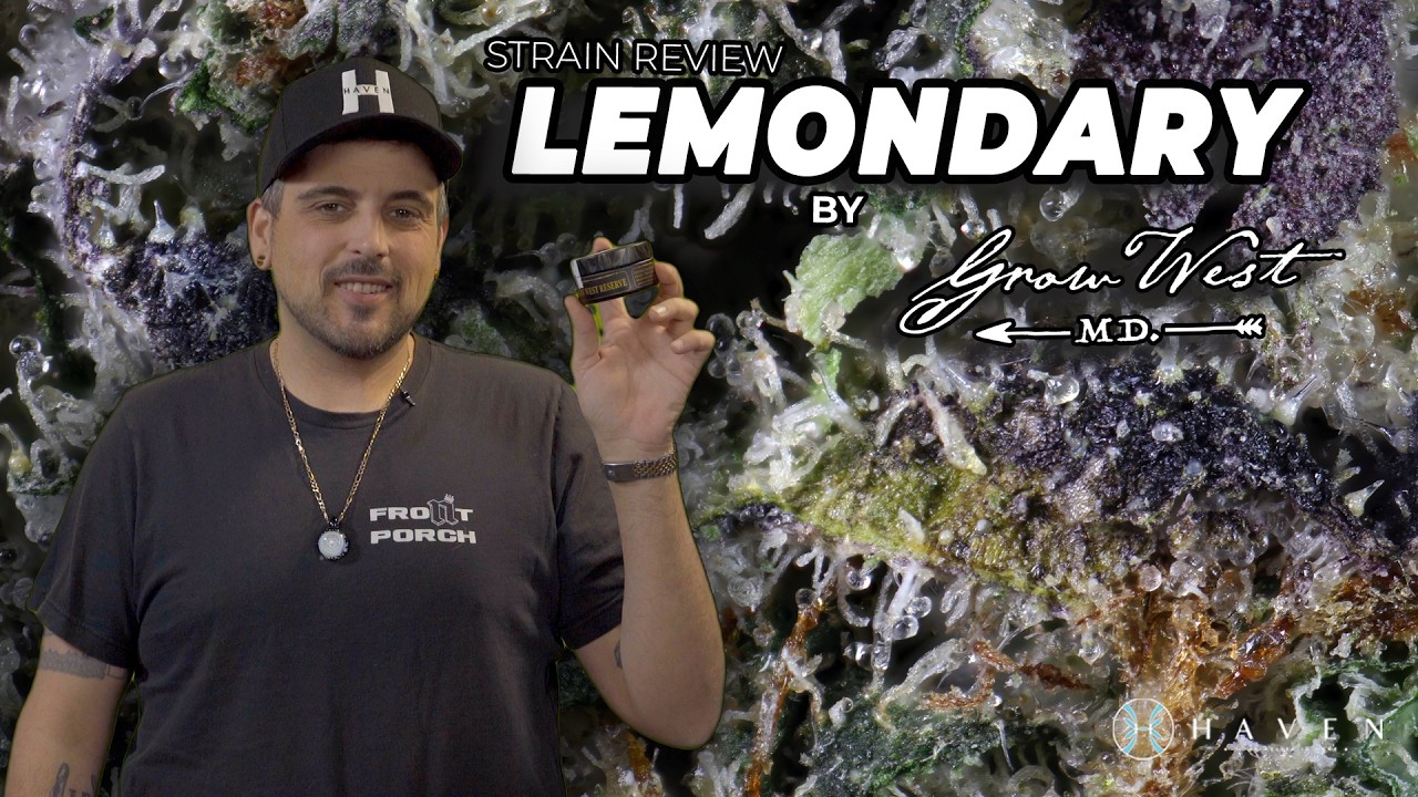 Lemondary by Grow West | 33% Cannabinoids Citrus Strain Breakdown