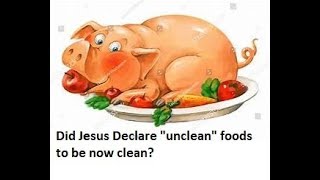 Mark 7:18-19 Explained  - Jesus declared all foods clean (in the NIV)