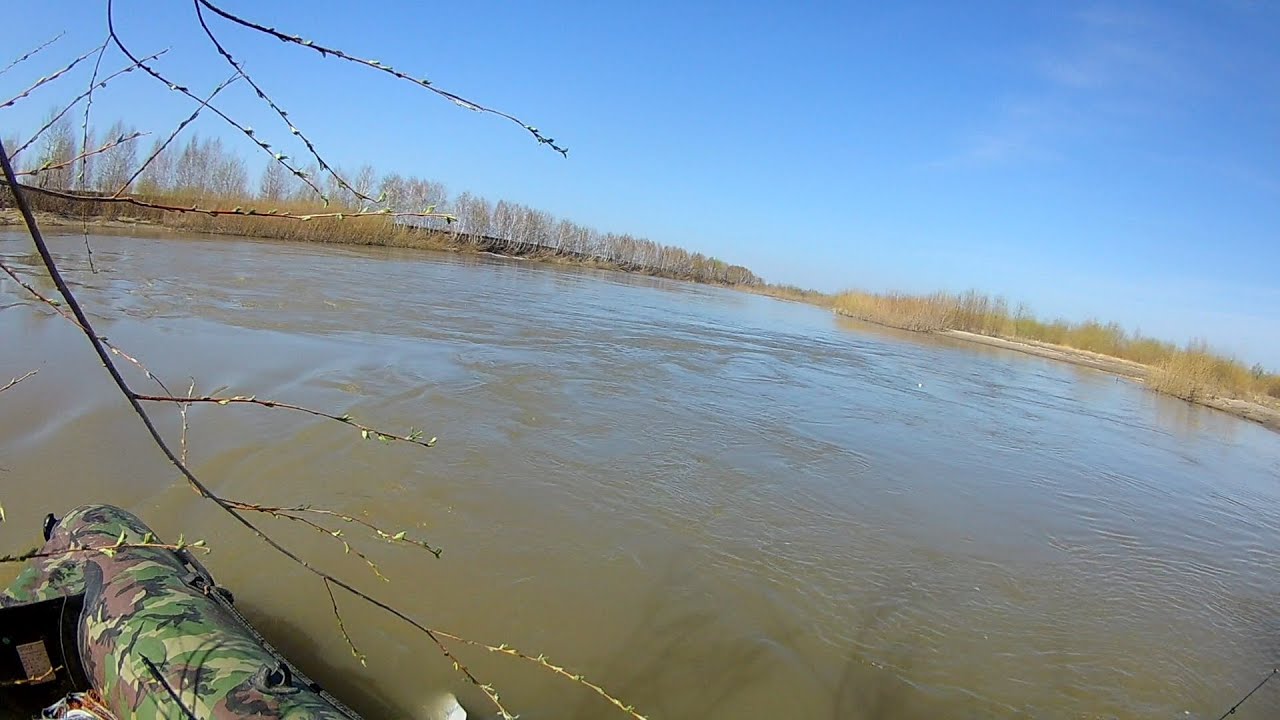 Уровень воды в реке иртыш омск