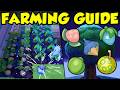 BEST POKOPIA FARMING GUIDE! YOU WON'T BELIEVE WHAT IS POSSIBLE!