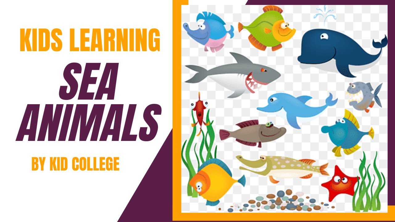 Name of Sea Animals Learning for kids Preschool learning. YouTube
