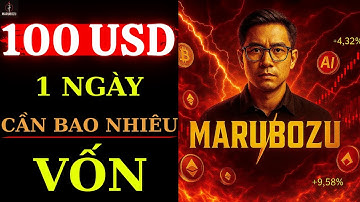 Kiếm 100 USD Mỗi Ngày Trader Cần Tài Khoản Vốn Bao Nhiêu? ( Hướng Dẫn Chi Tiết Phân Tích Vĩ Mô)