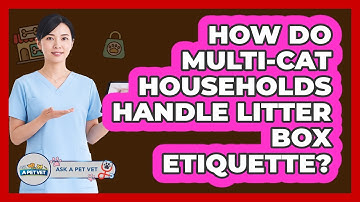How Do Multi-cat Households Handle Litter Box Etiquette? - Ask A Pet Vet