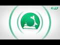 Čeburin | Konferencija po rungtynių | Post-match conference | Žalgiris - Hacken [CC]