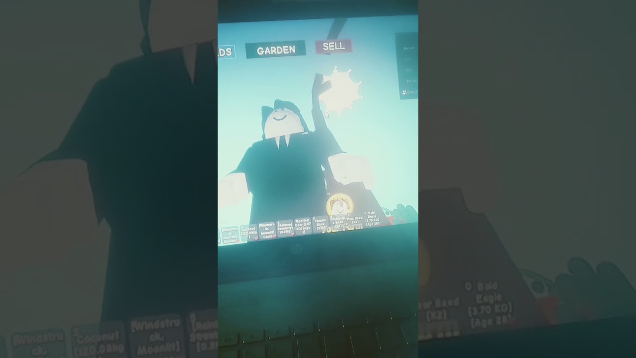 this MIGHT be the biggest non modded GAG coconut tree 