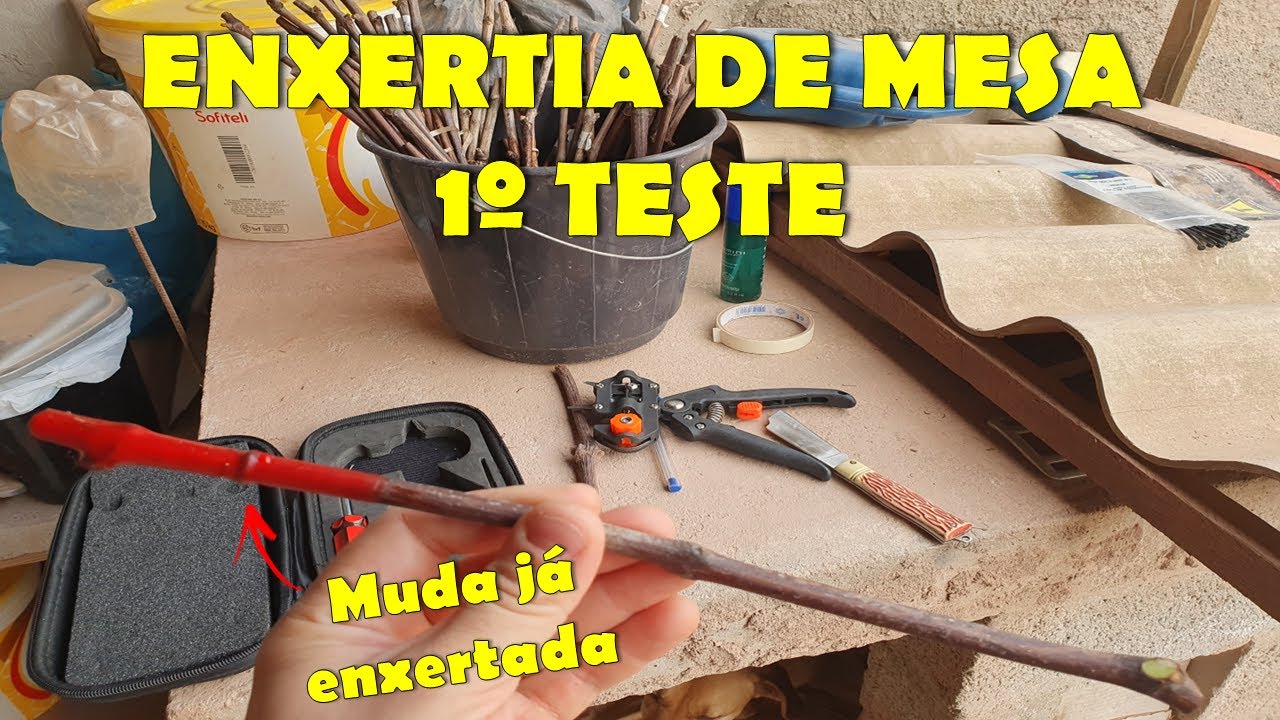 Diferentes técnicas de enxertia - Ômega, Garfo e Inglês complicado