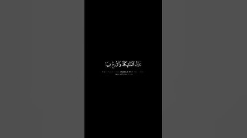 سورة القدر بصوت القارئ فارس عباد
