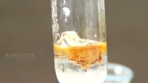 Chemical Tests for Nitrate - MeitY OLabs