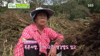 생방송 투데이 131010 다시보기 #1(8)
