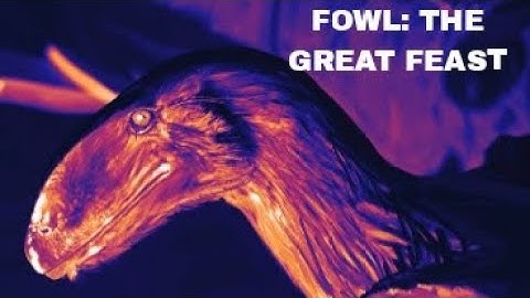 SFCC video assignment 1: 