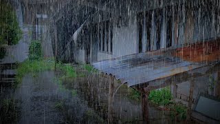 夜に雨と雷の音ですぐに眠ってしまう  Rain Sound For Sleeping